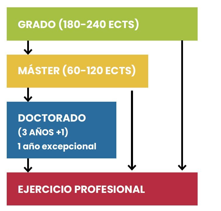 estructura del sistema universitario español